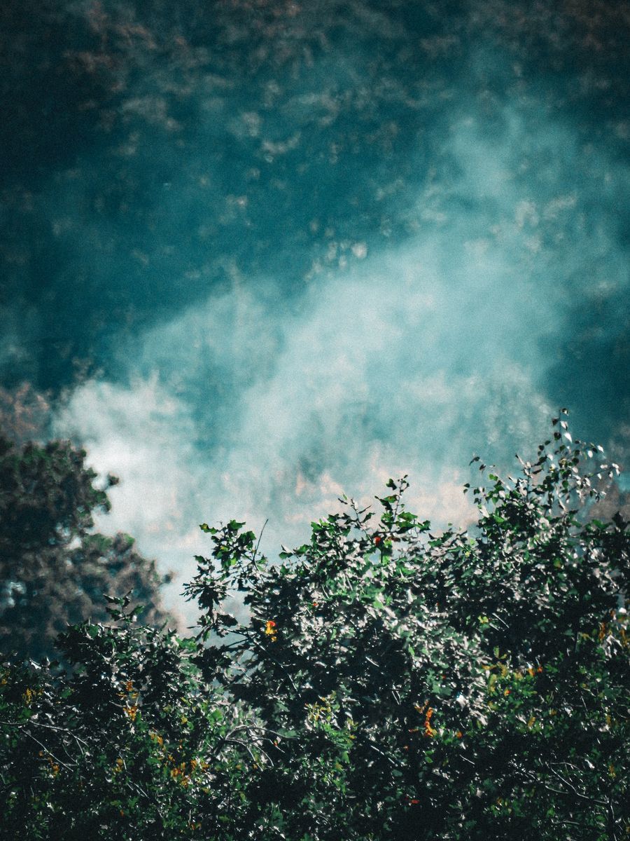 vape tank