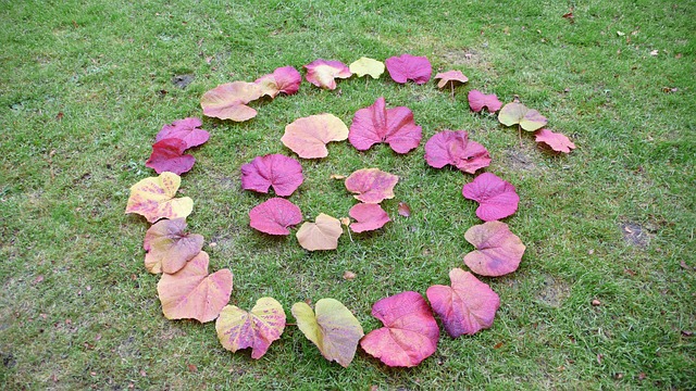 replacement pod